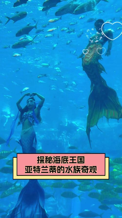 洛克王国亚特兰蒂斯稀有宠物_洛克王国亚特兰蒂斯_洛克王国亚特兰蒂斯遗迹在哪