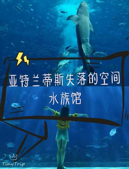 洛克王国亚特兰蒂斯稀有宠物_洛克王国亚特兰蒂斯遗迹在哪_洛克王国亚特兰蒂斯