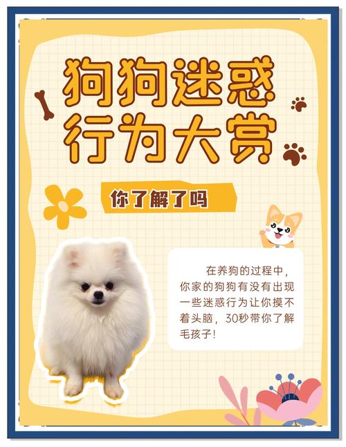狗狗书籍下载电子书_狗狗书籍下载网_狗狗书籍下载