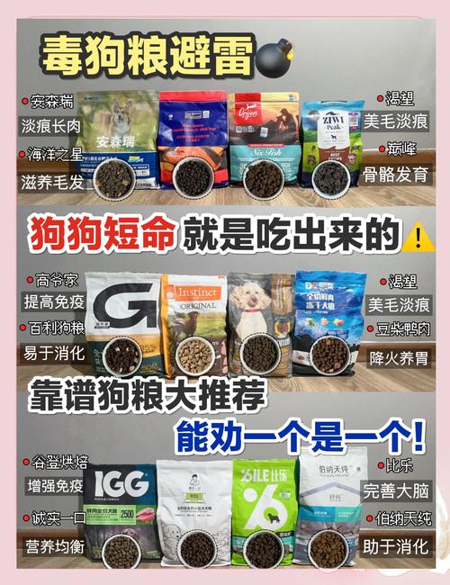 狗狗书籍下载网_狗狗书籍下载电子书_狗狗书籍下载