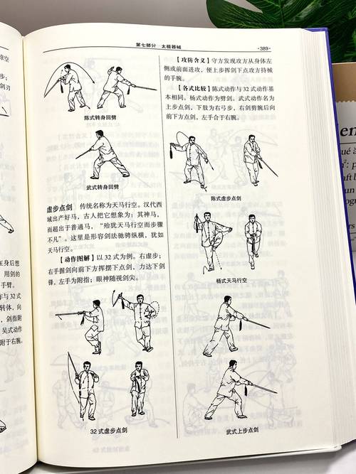 九阴真经罗汉拳_罗汉九阴九阳完整版_九阴真经罗汉拳招式