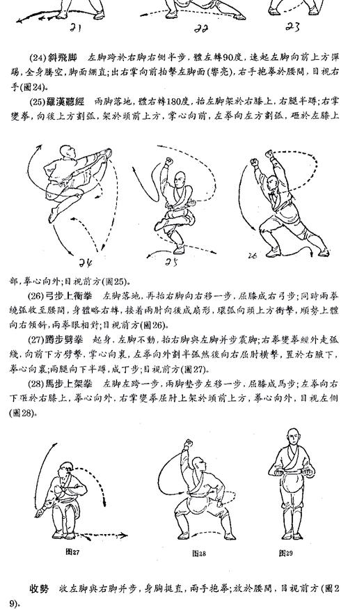 罗汉九阴九阳完整版_九阴真经罗汉拳_九阴真经罗汉拳招式