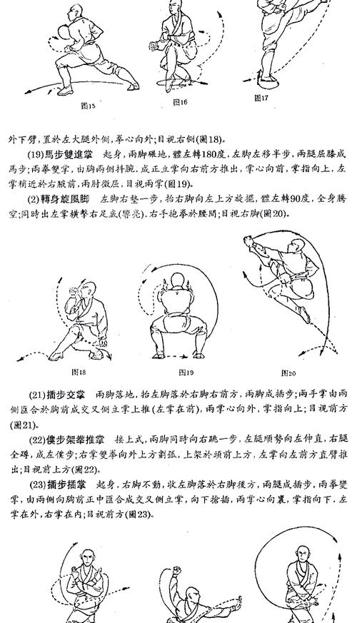 九阴真经罗汉拳_罗汉九阴九阳完整版_九阴真经罗汉拳招式