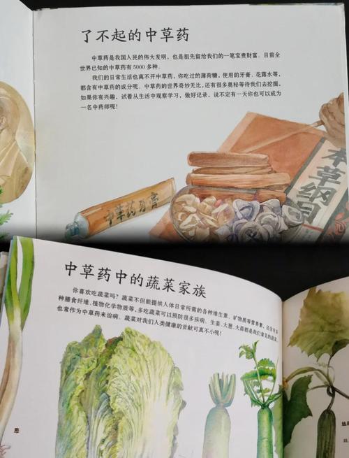鹿鼎记药师珍兽带什么比较好_鹿鼎记药师_鹿鼎记药师攻略