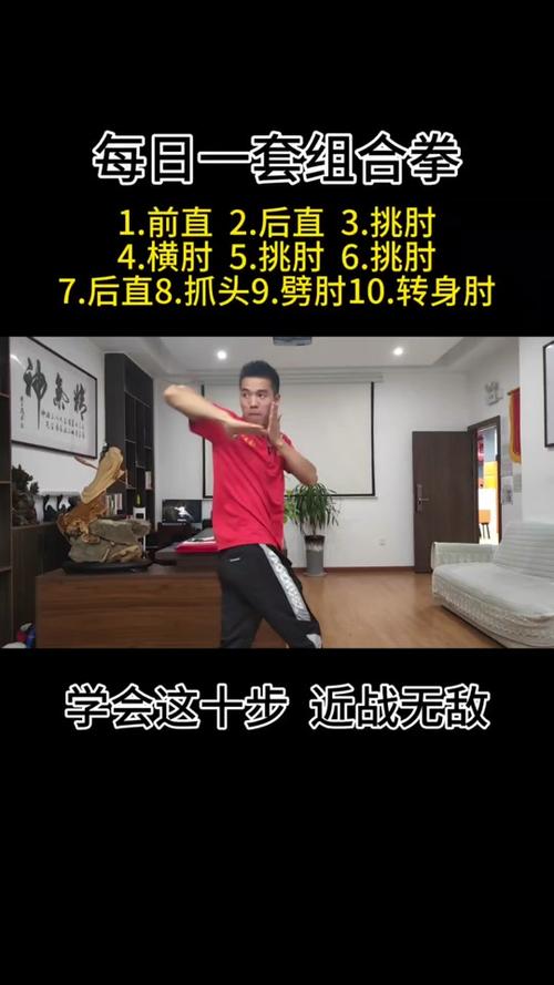 散打连招教学视频_男散打连招_散打连招拳法