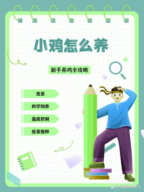 宠物小鸡养成_宠物小鸡养成记_小鸡宠物怎么养