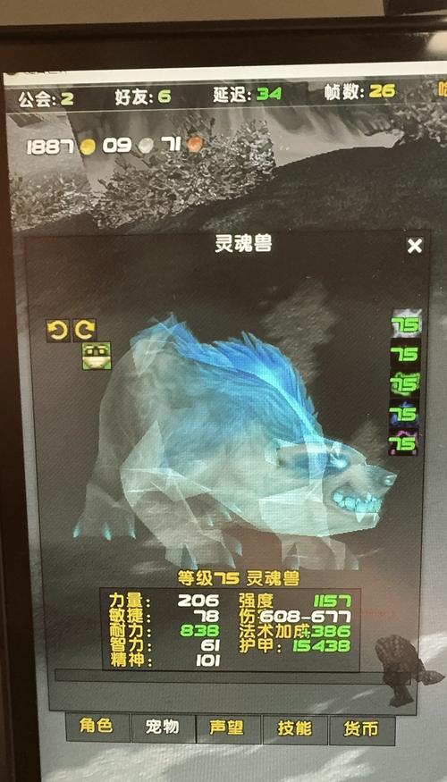 wow灵魂兽刷新时间_正式服灵魂兽几小时刷新_魔兽世界灵魂兽刷新时间监控