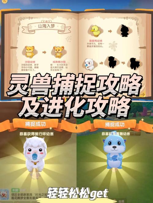 摩尔庄园龙坐骑_摩尔庄园坐骑龙大全_摩尔庄园骑的龙怎么来的