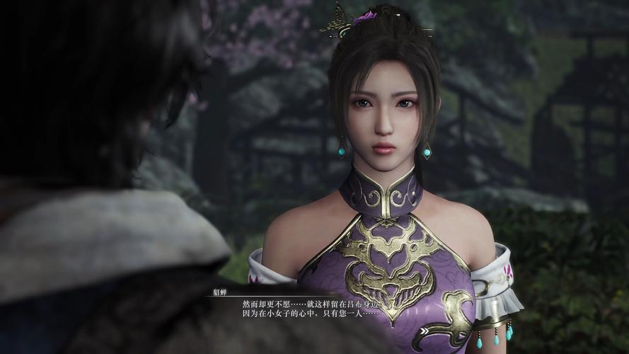 三国无双advance_真三国无双3补丁_《无双三国》