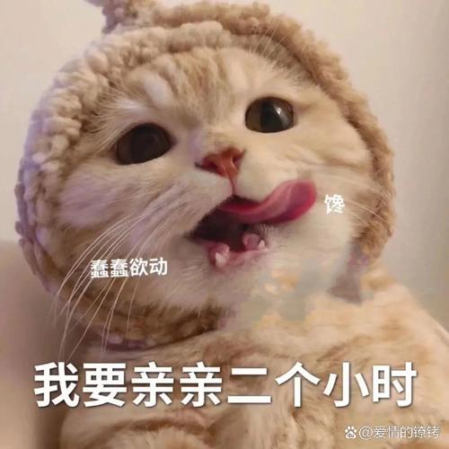 可爱表情包下载全套_可爱qq表情包下载_可爱表情包下载软件有哪些
